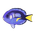 Regal Tang