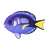 Regal Tang