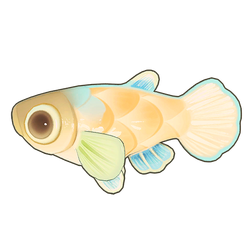 Rice Fish Icon.png