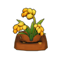 Matured Crop