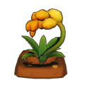 Plump Crop