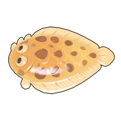 River Tonguesole Icon.png