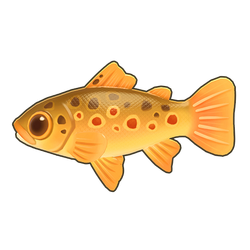 River Trout Icon.png