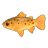 River Trout