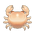 Round Bald Crab