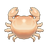 Round Bald Crab