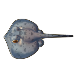 Round Ribbontail Ray Icon.png