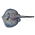 Round Ribbontail Ray