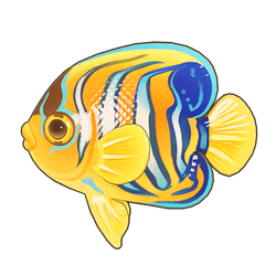 Royal Angelfish Icon.png