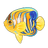 Royal Angelfish