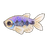 Royal Tetra