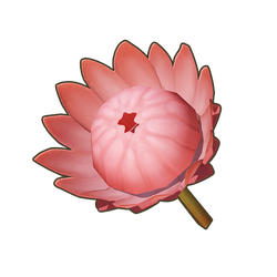 Russet King Protea Icon.png