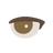 Sanpaku Eyes