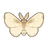 Satin Moth