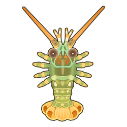 Scalloped Spiny Lobster Icon.png