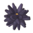 Sea Urchin