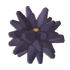 Sea Urchin