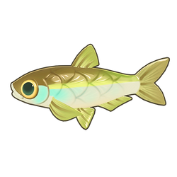Sharpbelly Icon.png