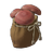 Shiitake Mushroom