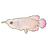 Silver Arowana