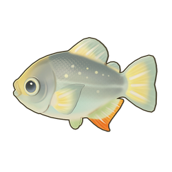 Silver Pacu Icon.png