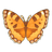 Small Tortoiseshell