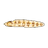 Snowflake Moray