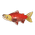 Sockeye Salmon