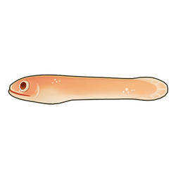 Spaghetti Eel Icon.png