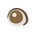 Sparkling Round Eyes