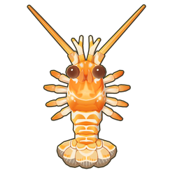 Spear Lobster Icon.png