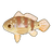 Speckled Peacock Bass