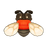Spider Wasp