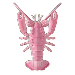 Spiny Blind Lobster Icon.png