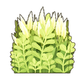 Thumbnail for version as of 13:37, 25 October 2026