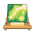 Sprouting Star Flooring