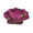 Strange Cabbage