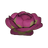 Strange Cabbage
