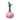 Strange Garlic