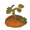Withered