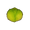 Stunted Cabbage