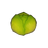 Stunted Cabbage