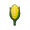 Stunted Corn
