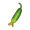 Stunted Cucumber
