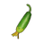Stunted Cucumber