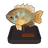 Sunny Bream Model