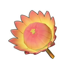 Sunset King Protea Icon.png