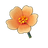Sunset Moss Rose