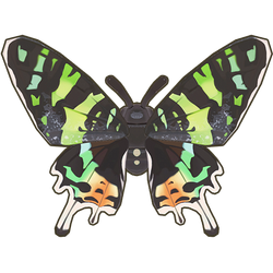 Sunset Moth Icon.png