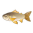 Sweetfish